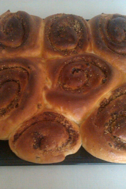 Obrie osie hniezda - obrázok 7