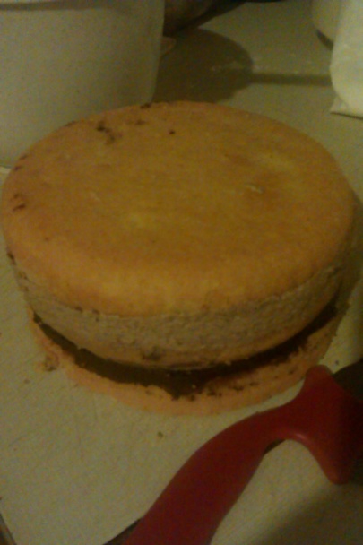 Narodeninová torta - obrázok 6