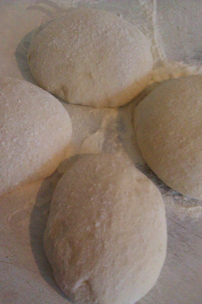 Štedré osie hniezda (fotorecept) - obrázok 2