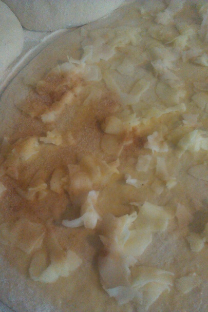 Štedré osie hniezda (fotorecept) - obrázok 3