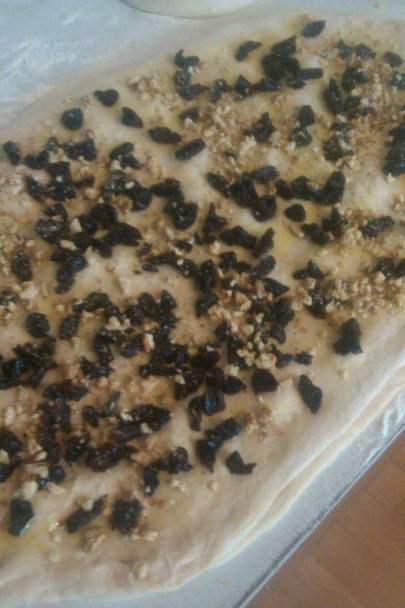 Štedré osie hniezda (fotorecept) - obrázok 4