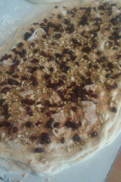 Štedré osie hniezda (fotorecept) - obrázok 5