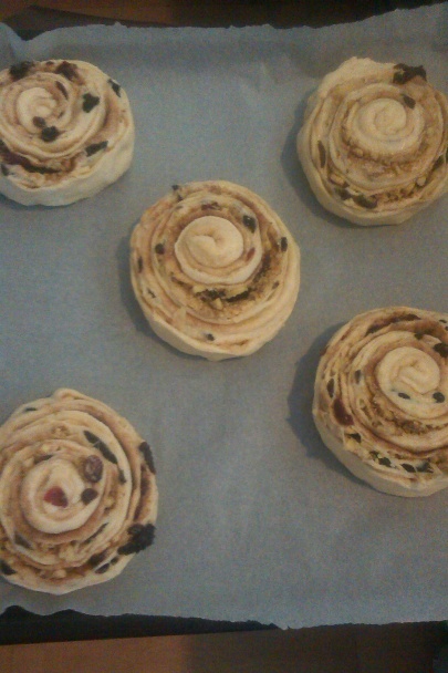 Štedré osie hniezda (fotorecept) - obrázok 7