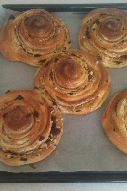 Štedré osie hniezda (fotorecept) - obrázok 8