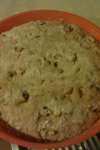 Orechovo-slivkový kysnutý koláč (fotorecet) - obrázok 1