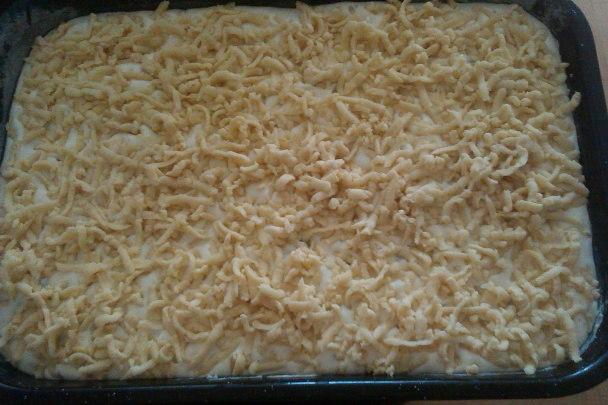 Tvarohový koláč s čokoládou a sušenými slivkami (fotorecept) - obrázok 5