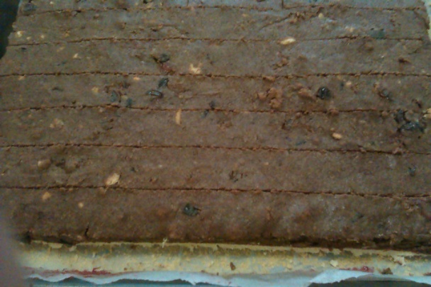 Svieženky (fotorecept) - obrázok 4