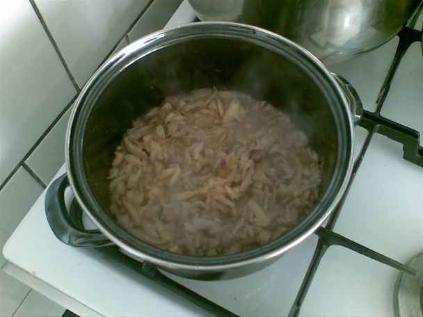 Bravčová panenka plnená hlivovou plnkou (fotorecept) - obrázok 3