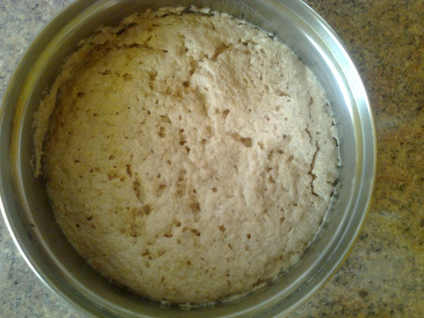 Svieži kysnutý koláč s marhuľami - obrázok 1