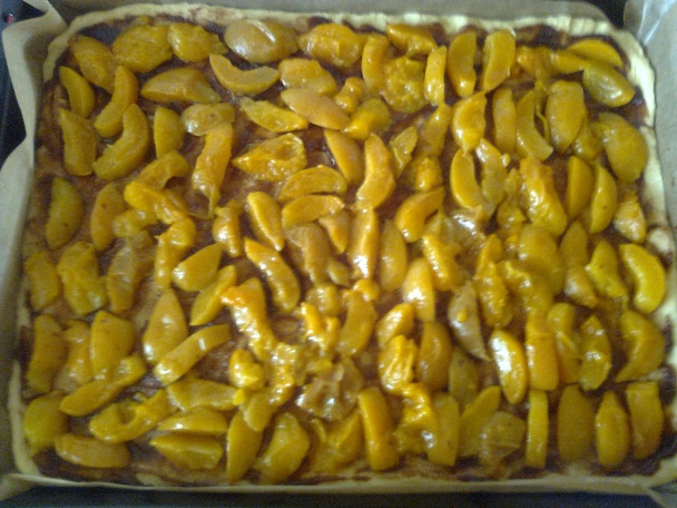 Svieži kysnutý koláč s marhuľami - obrázok 6