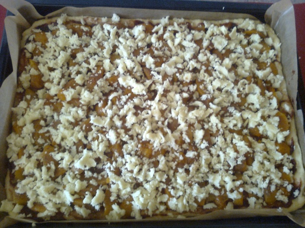 Svieži kysnutý koláč s marhuľami - obrázok 7