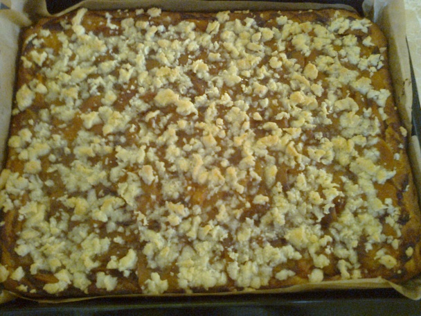 Svieži kysnutý koláč s marhuľami - obrázok 8