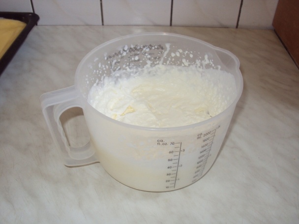 Krémeš z krupicovej kaše a pudingu /nepečený/ (fotorecept) - obrázok 15