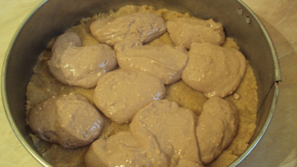 Pudingovo-tvarohová torta, nepečená (fotorecept) - obrázok 8