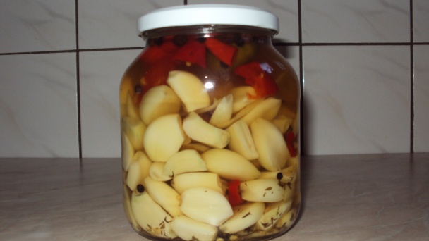 Cesnak nakyslo (fotorecept) - obrázok 4