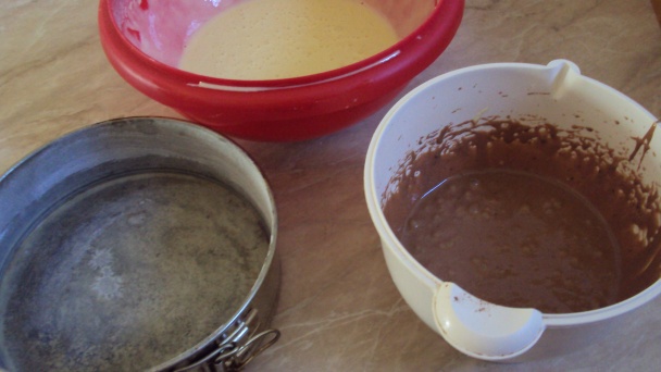 Zebra (fotorecept) - obrázok 3