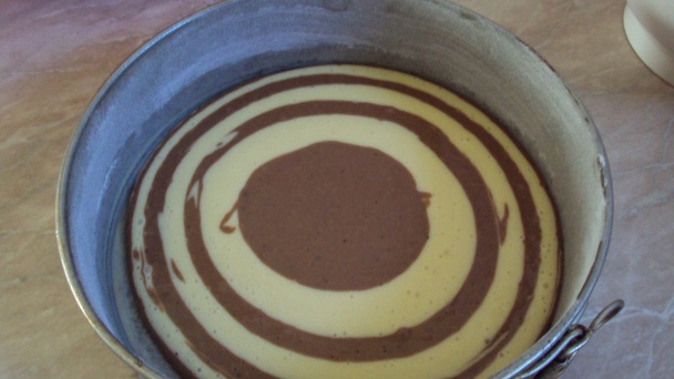 Zebra (fotorecept) - obrázok 5