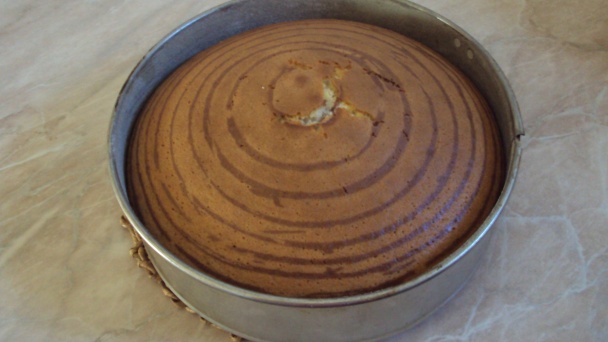 Zebra (fotorecept) - obrázok 7