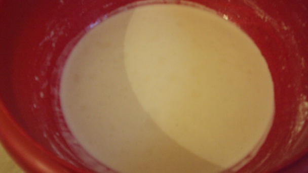 Pudingový kvietok (fotorecept) - obrázok 2