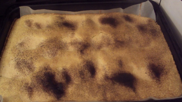 Broskyňový koláč (fotorecept) - obrázok 6