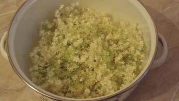 Cukríky z bazy čiernej (fotorecept) - obrázok 2