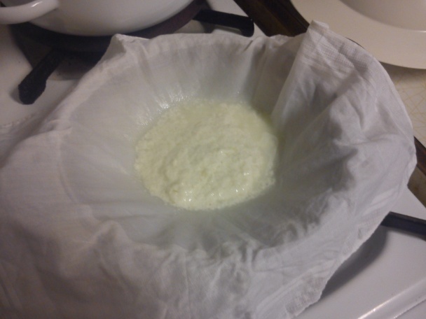 Paneer (Indický syr) - obrázok 4