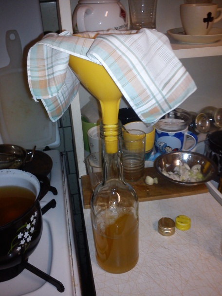 Bazový sirup - obrázok 5