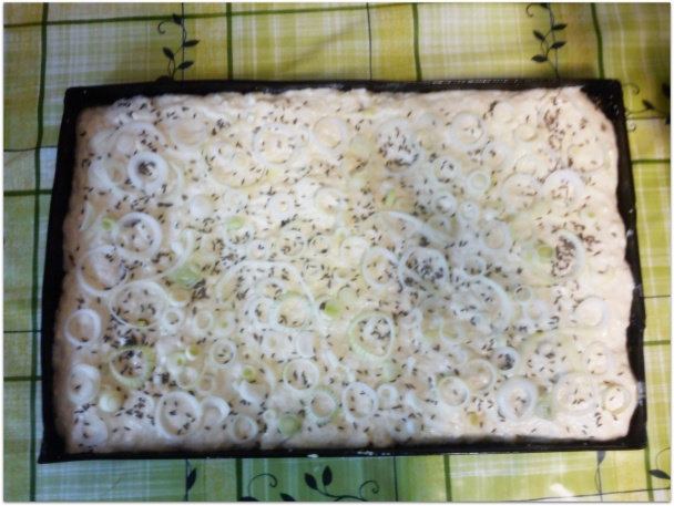 Cibuľkový koláčik - obrázok 4