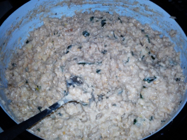 Fašírky z ovsených vločiek - obrázok 1