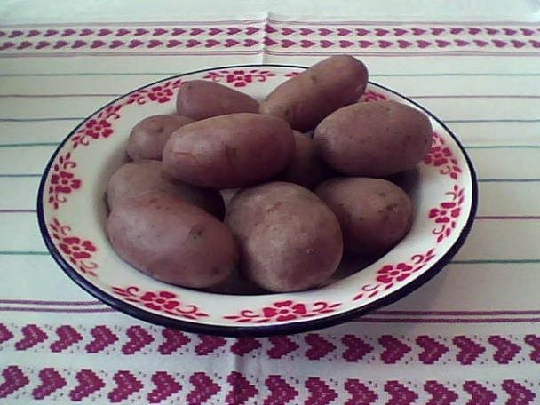 Mäsovo-syrové guľky (fotorecept) - obrázok 6