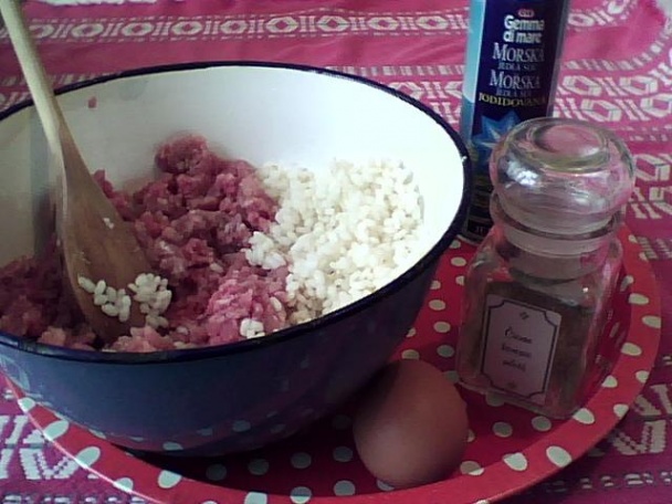 Zemplínske holúbky (fotorecept) - obrázok 1