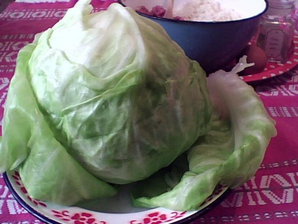 Zemplínske holúbky (fotorecept) - obrázok 2