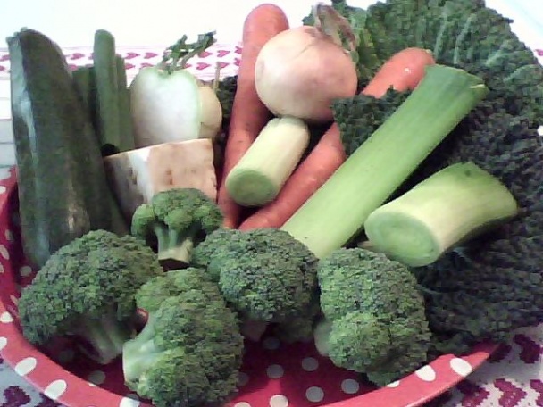 Polievka Minestrone -zeleninová s fazuľou - obrázok 1