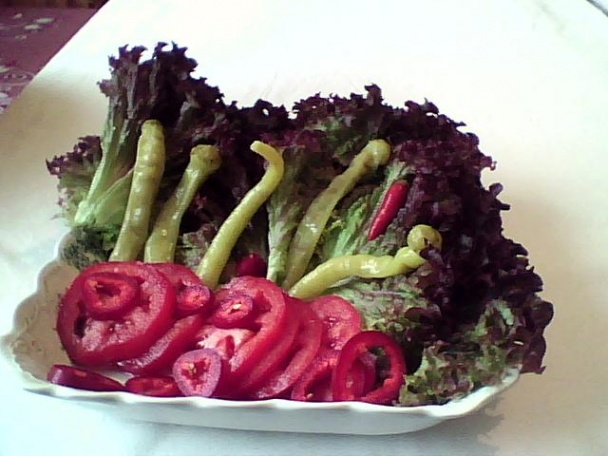 Bravčová panenka s medovou glazúrou (fotorecept) - obrázok 5