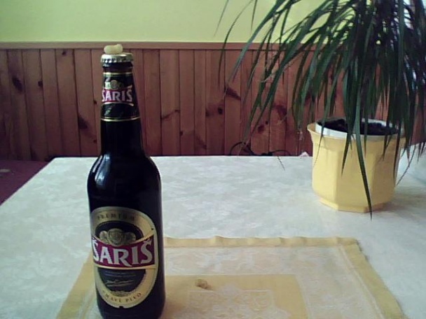 Sviečková s knedlíkom pre zaneprázdnených :-)) - obrázok 4