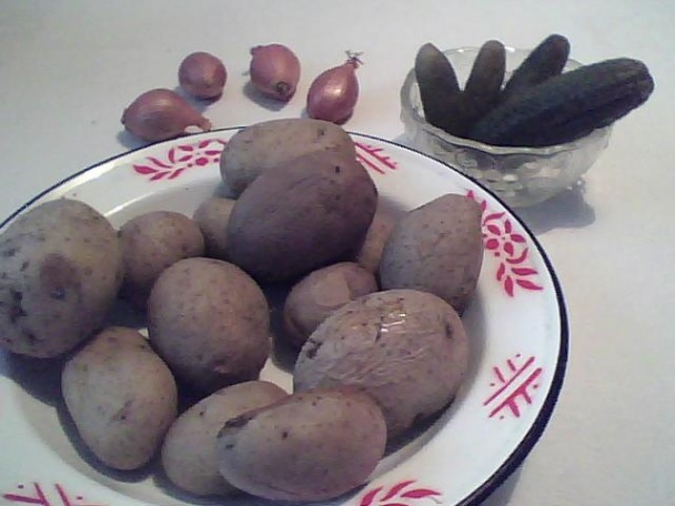 Zemiakový šalát obyčajný (fotorecept) - obrázok 1
