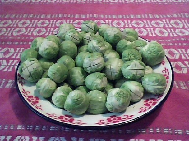 Ružičkový kel zapekaný s mrkvou - obrázok 1