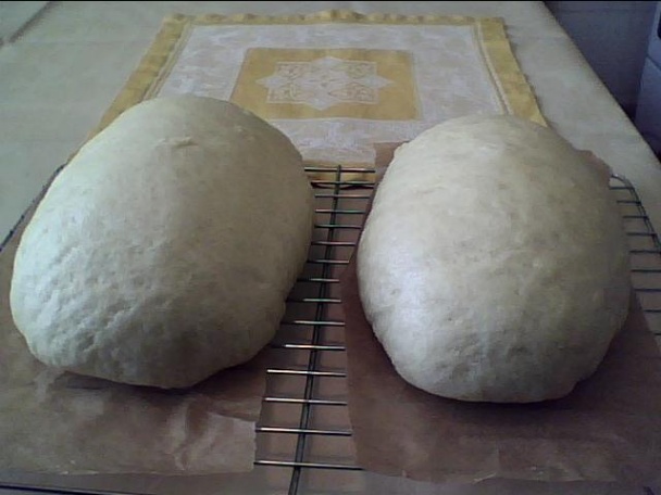 @sráczova knedľa Karle-Varle v parenej knedli - obrázok 2