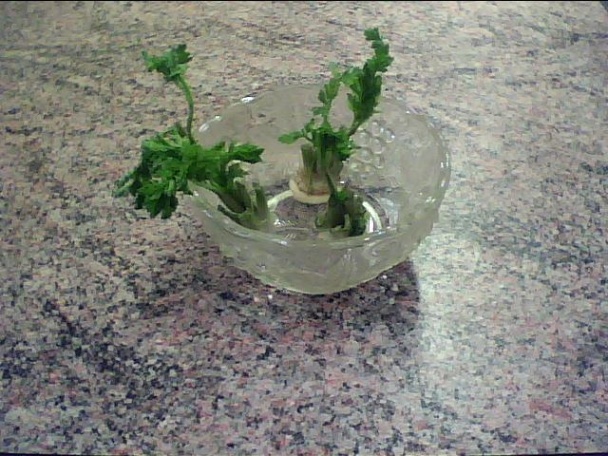 Polievka protichrípková - ekrazit č. 2  - obrázok 4