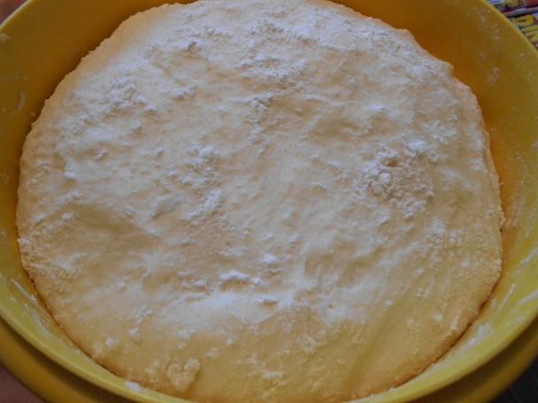 Kysnutý slivkáč - môj najobľúbenejší (fotorecept) - obrázok 2
