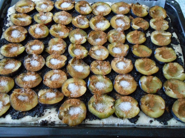 Kysnutý slivkáč - môj najobľúbenejší (fotorecept) - obrázok 4