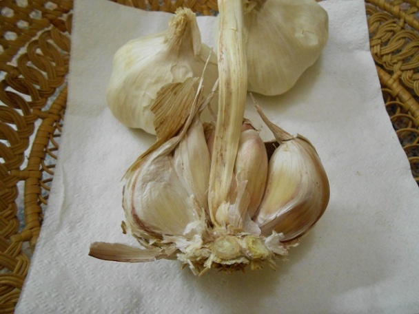 Hŕstková polievka pikantná a zdravá - obrázok 2