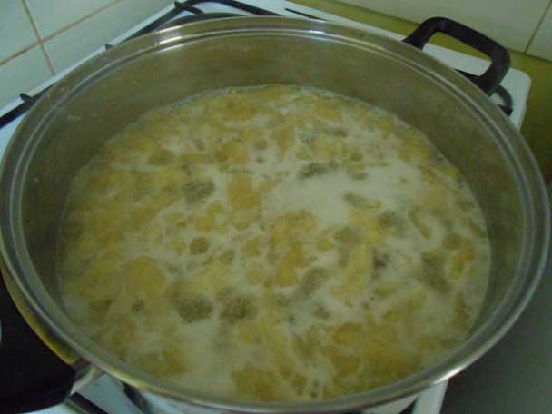 Bryndzové halušky májové a slovenské - obrázok 4