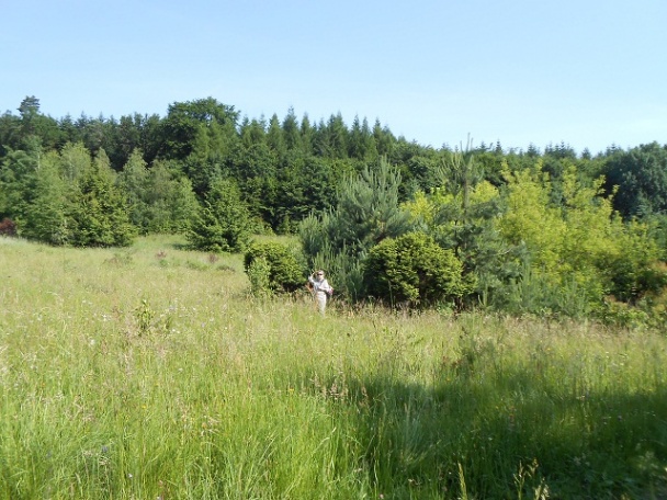 Fazuľová kaša z Omšenia - obrázok 3