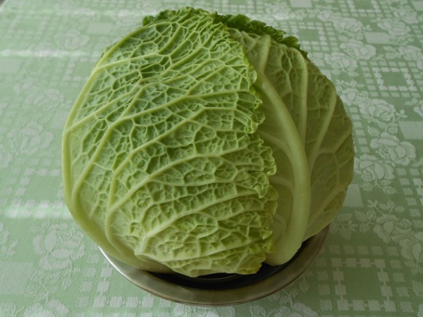 Najlepšia kelová polievka na svete - obrázok 1