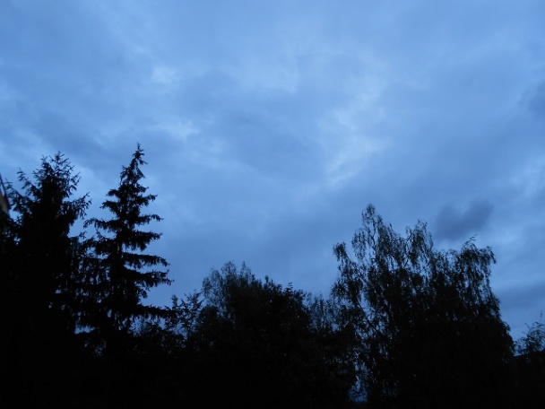 Patizón ako guláš, rezeň a paprikáš do 30 minút (fotorecept) - obrázok 6