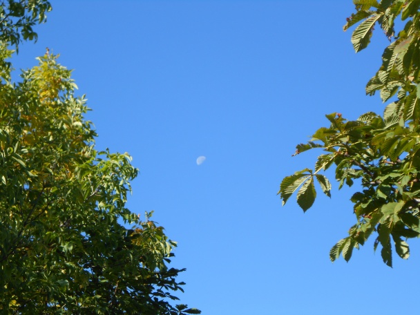 Zemiakové čipsy zdravšie (fotorecept) - obrázok 5