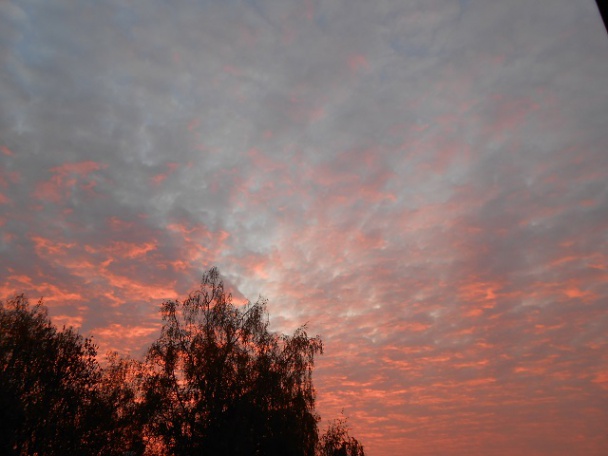 Karfiolové muffiny za 15 minút (fotorecept) - obrázok 4