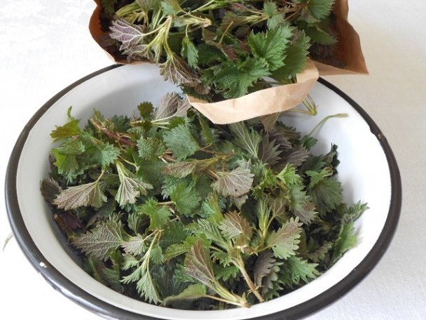 Žihľavová polievka (fotorecept) - obrázok 3