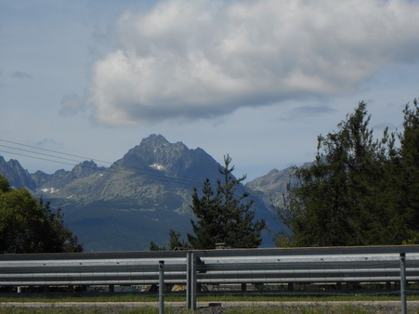 Bezlepková mrkvovo-orechová torta (fotorecept) - obrázok 5